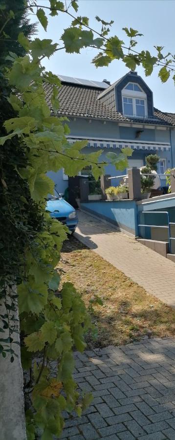 Desire Villa Хайделберг Екстериор снимка